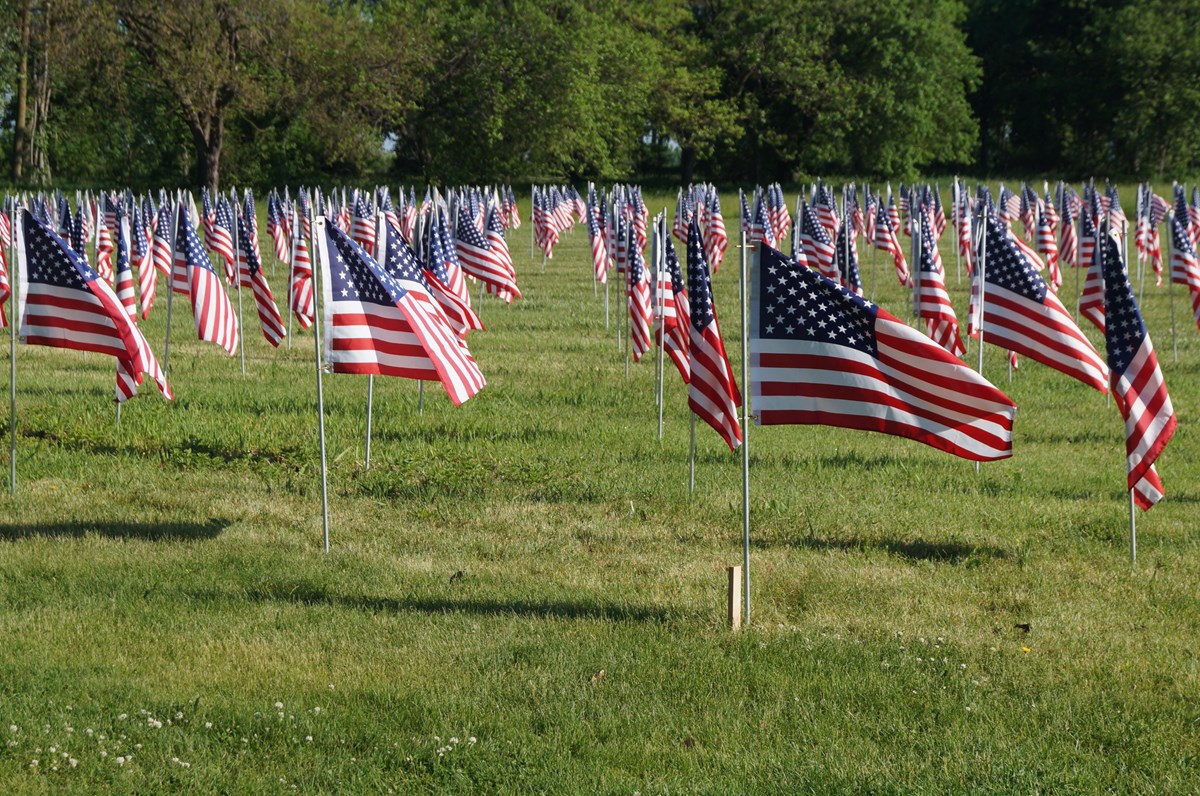 Multiple flags flying in the field