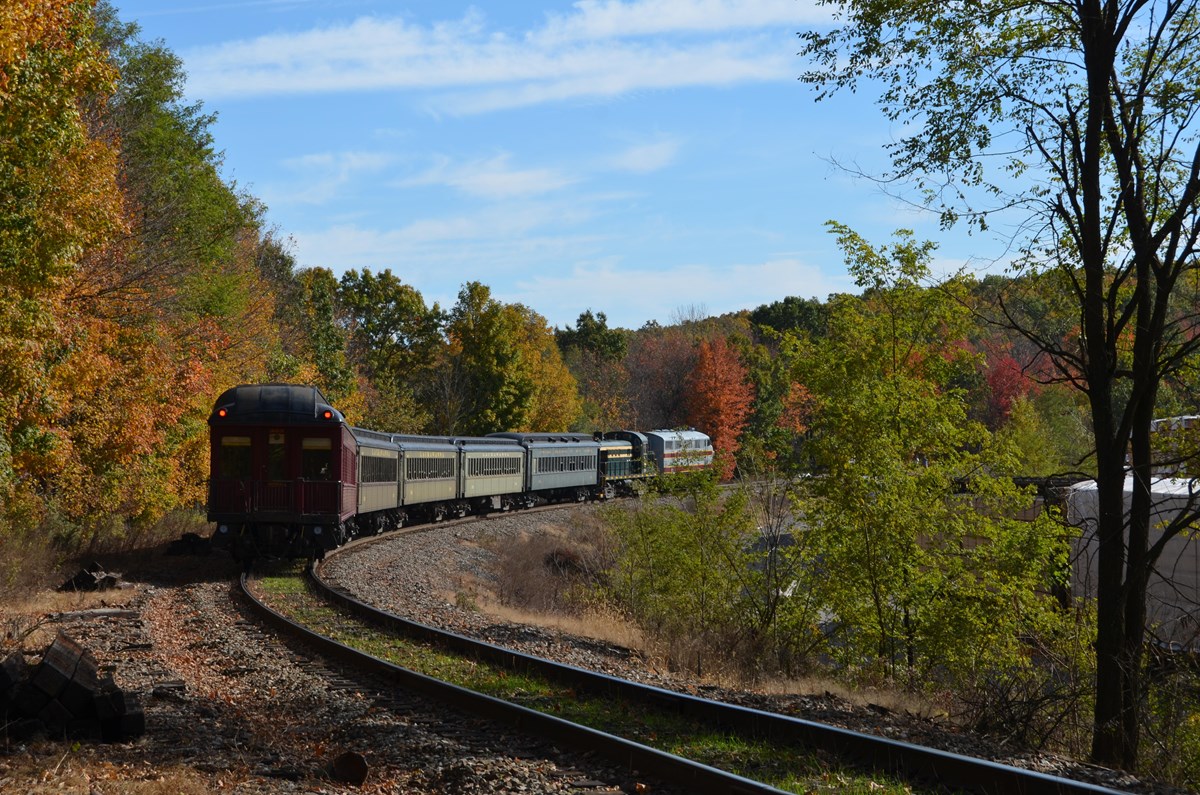 A train pulling away from station surrounded by fall foliage