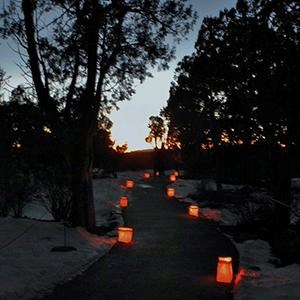 Paved walkway through trees lined with lanterns