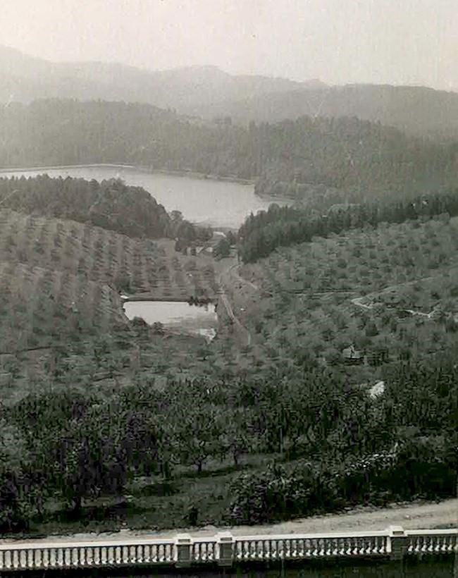 I Love Apples – The Story of the Moses Cone & his Apple Orchards (Moses H Cone Memorial Park - Parkway milepost 294)