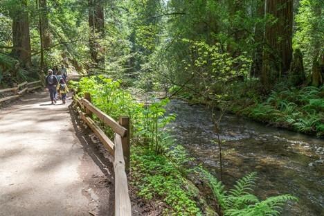 Hikers on a trail leads next to a creek along a lush green forest