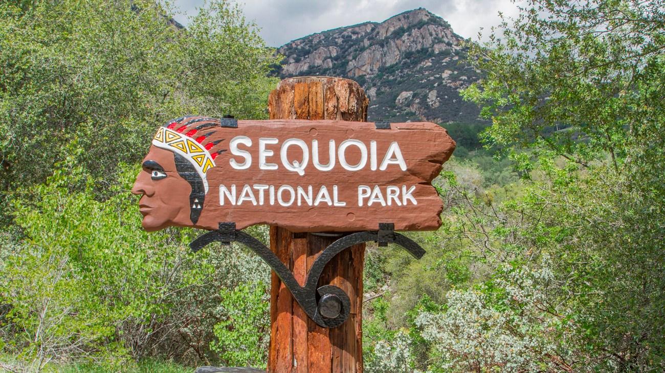 A wooden sign carved with the words “Sequoia National Park” stands in front of dense green foliage.