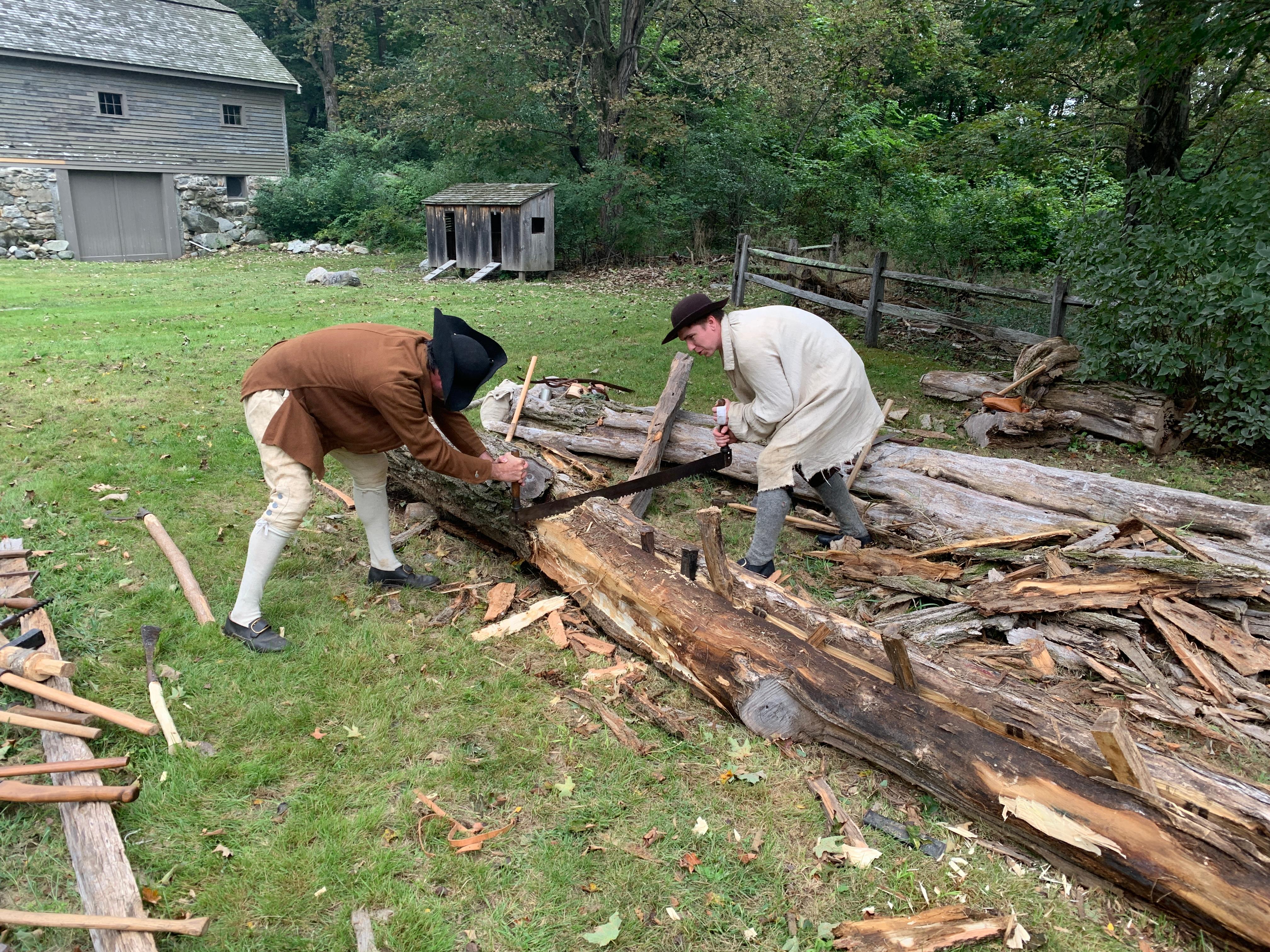 Two men dressed in historical clothing saw a large log