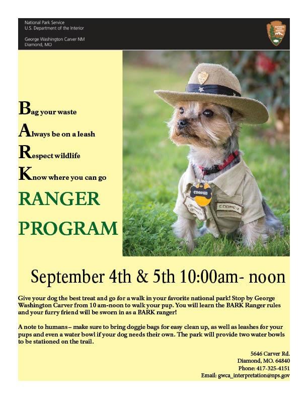 A dog wearing a ranger hat and tag.