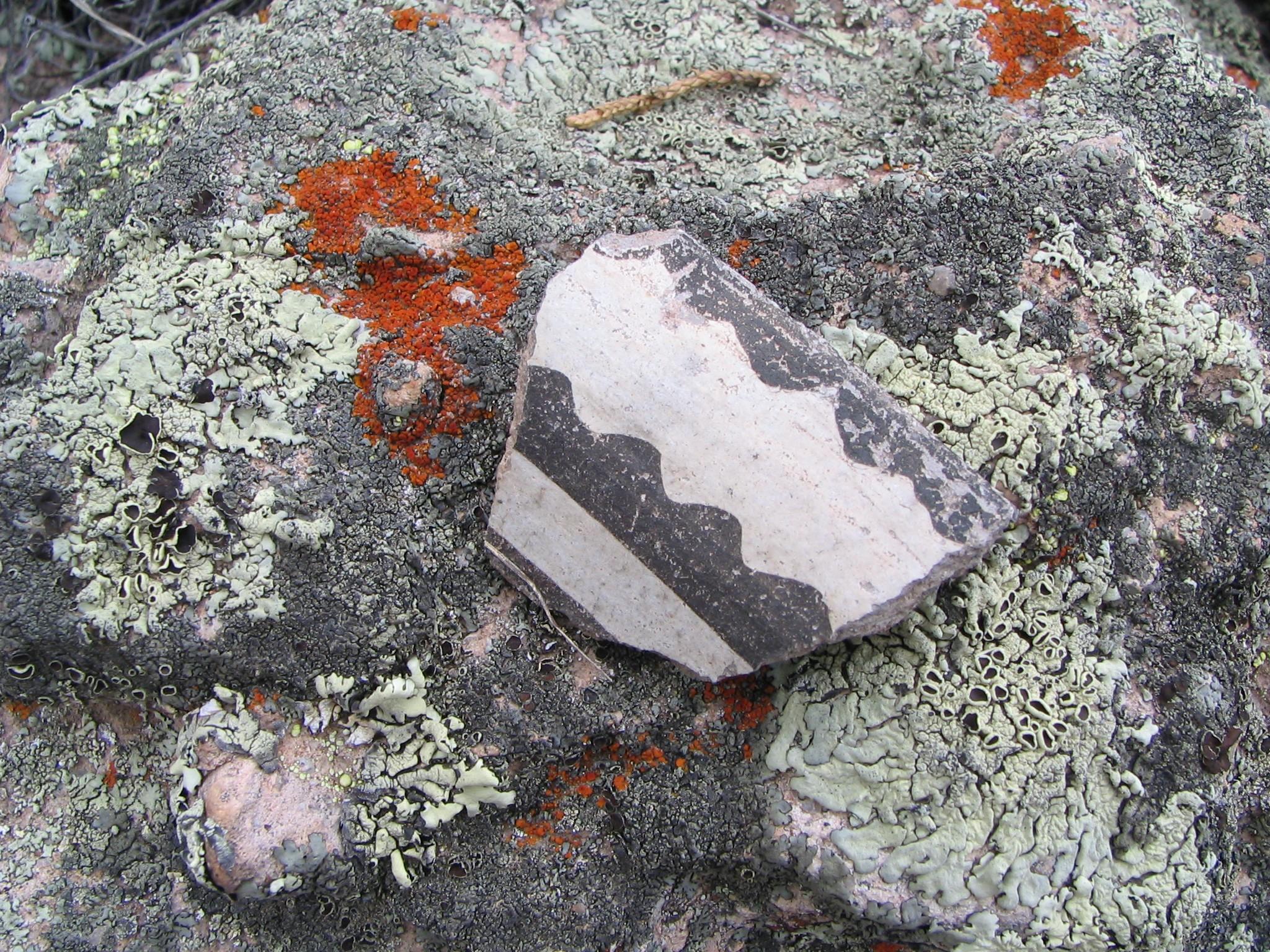 A broken piece of black and white pottery on a rock with orange and green lichen.