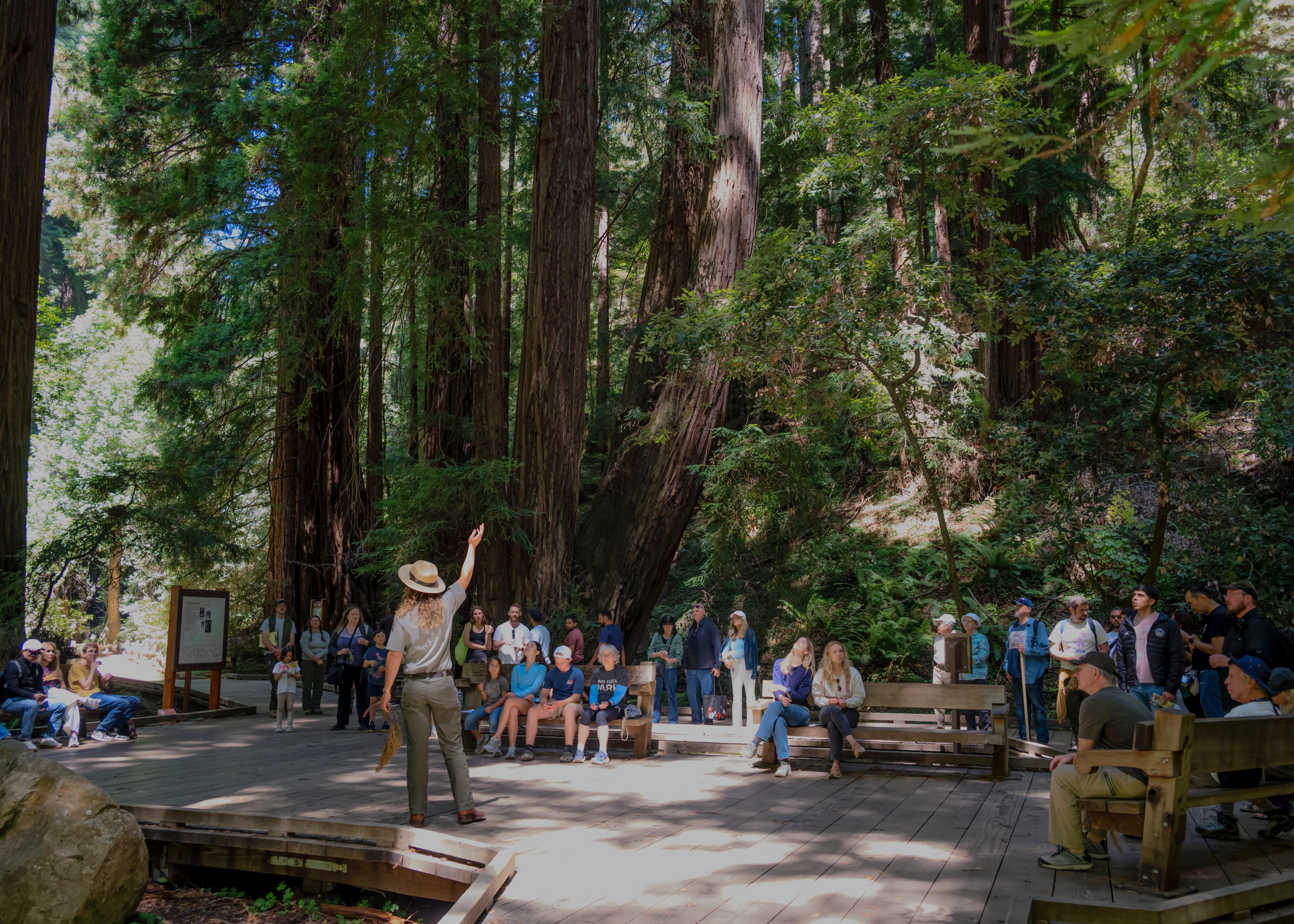 in a forest, a ranger presents and points to the trees as visitors gather around to listen