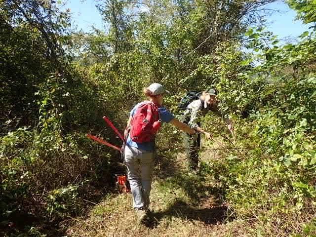 A volunteer and NPS staff member use loppers to cut back overgrown vegetation on a trail.