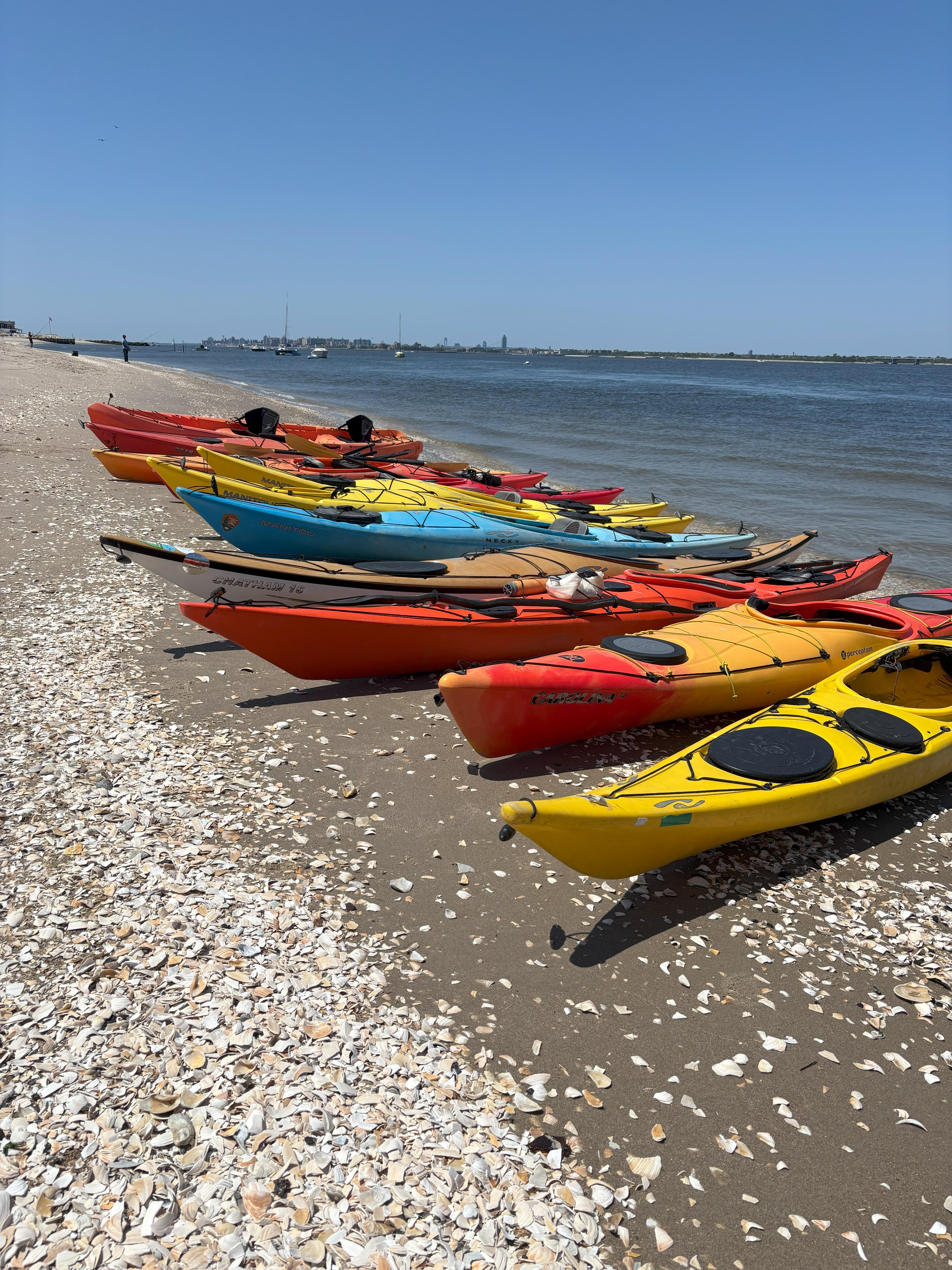 Line of kayaks on shore.