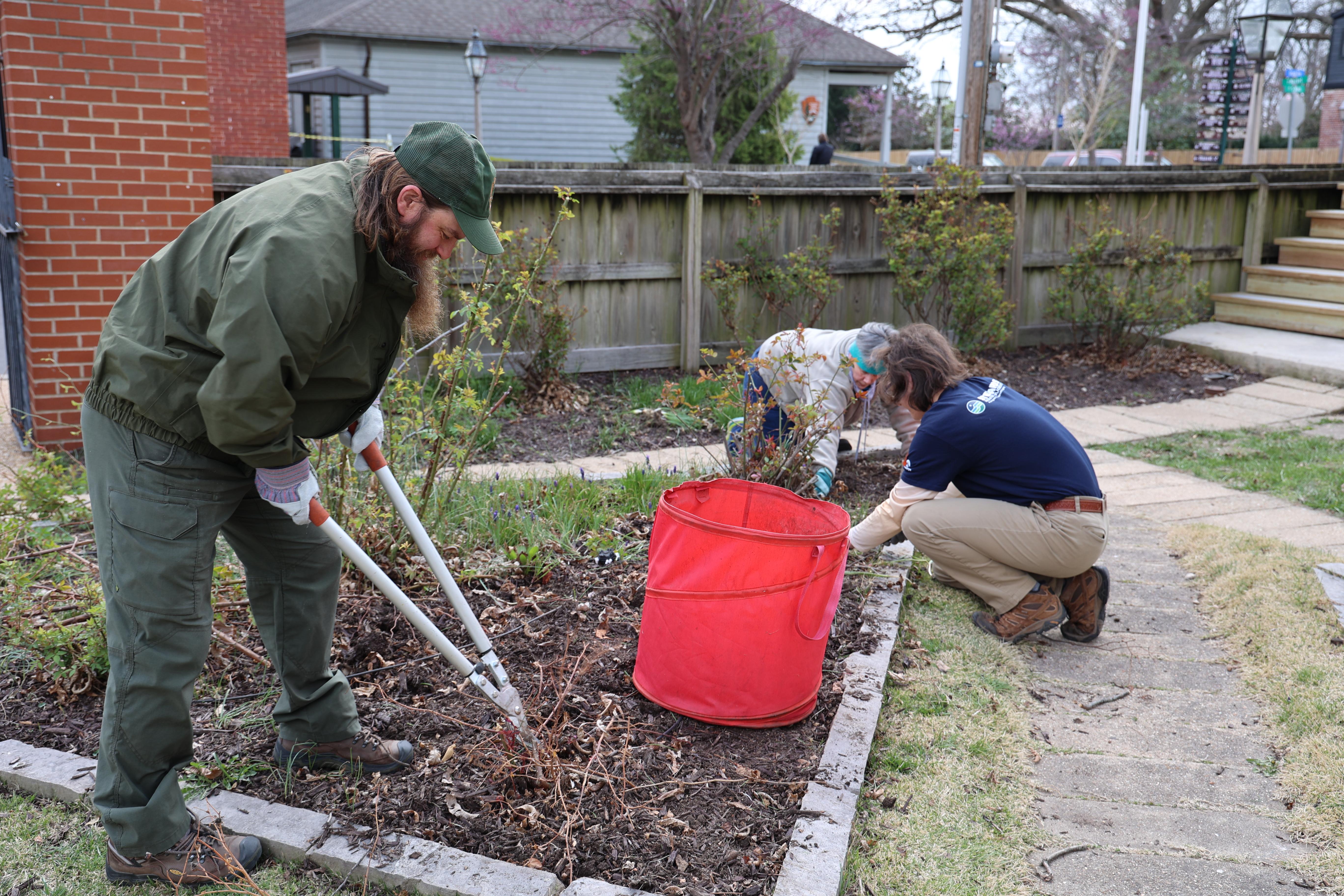 Park staff and volunteers working together in a garden