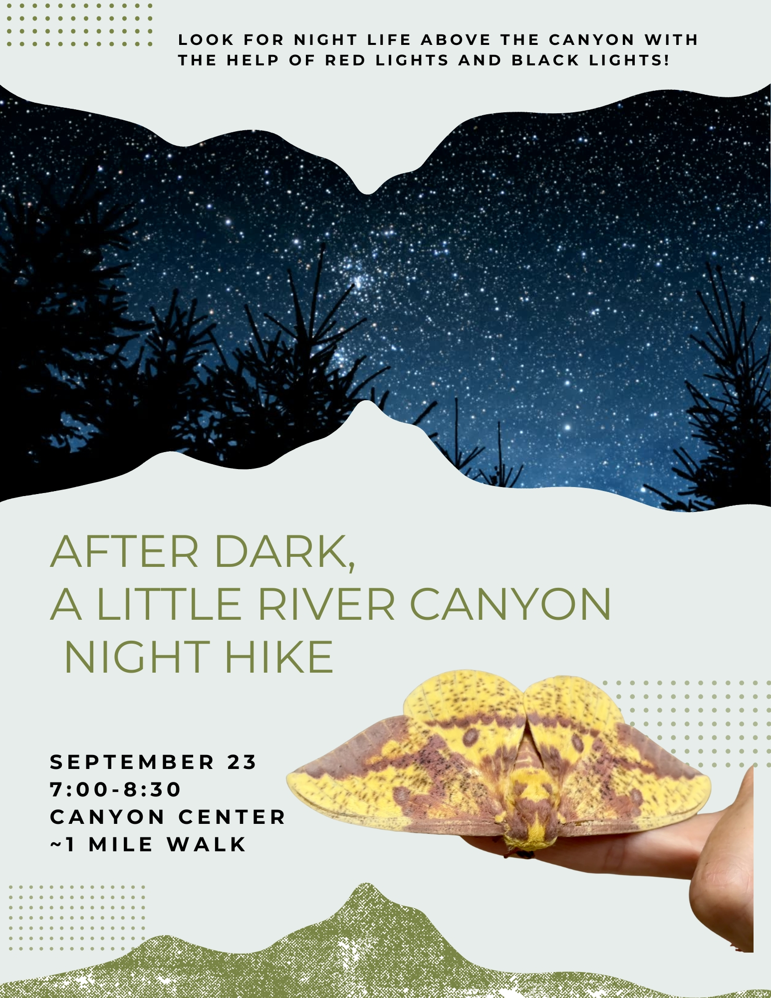 After Dark, A Little River Canyon Night Hike