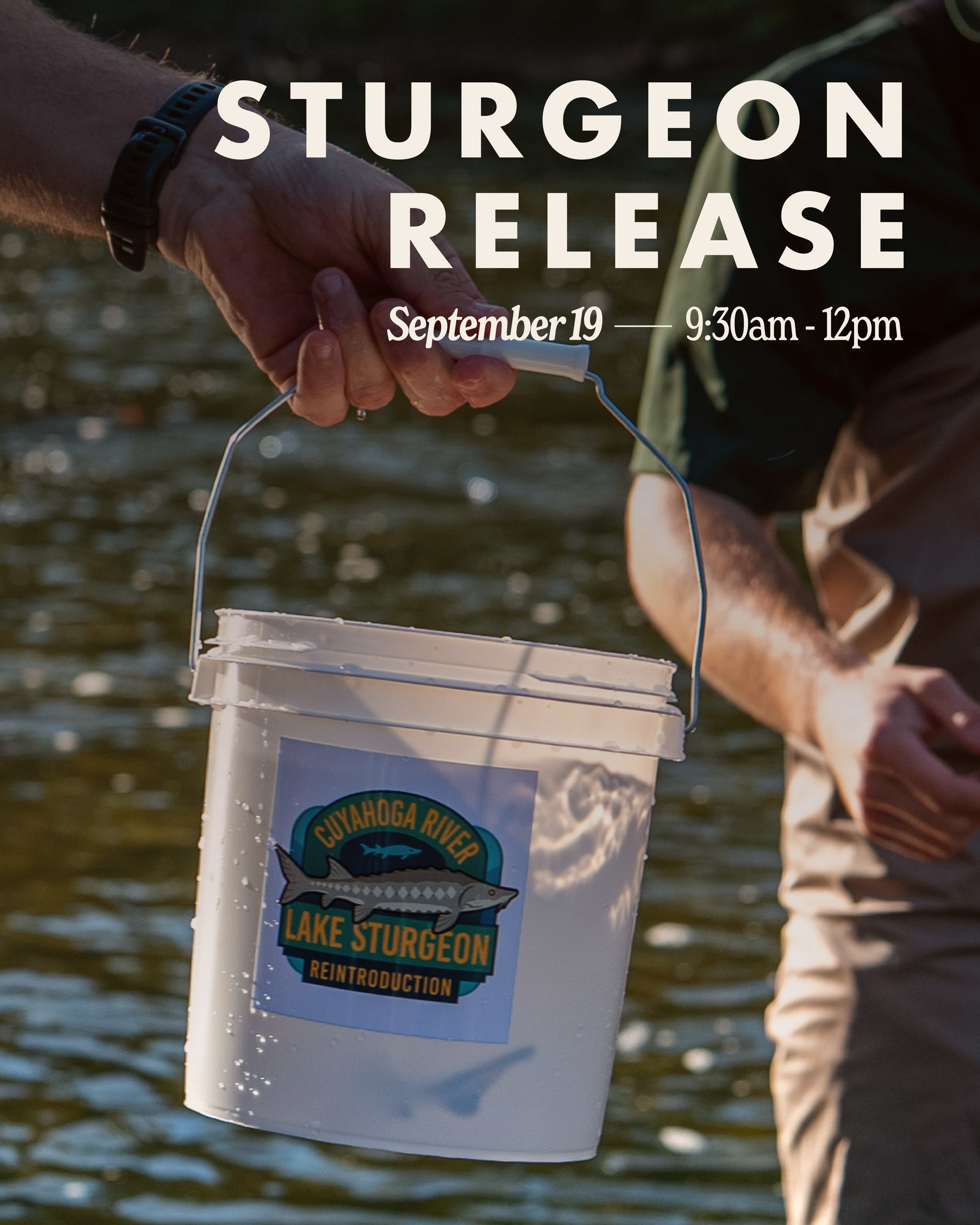 Lake Sturgeon Release Celebration