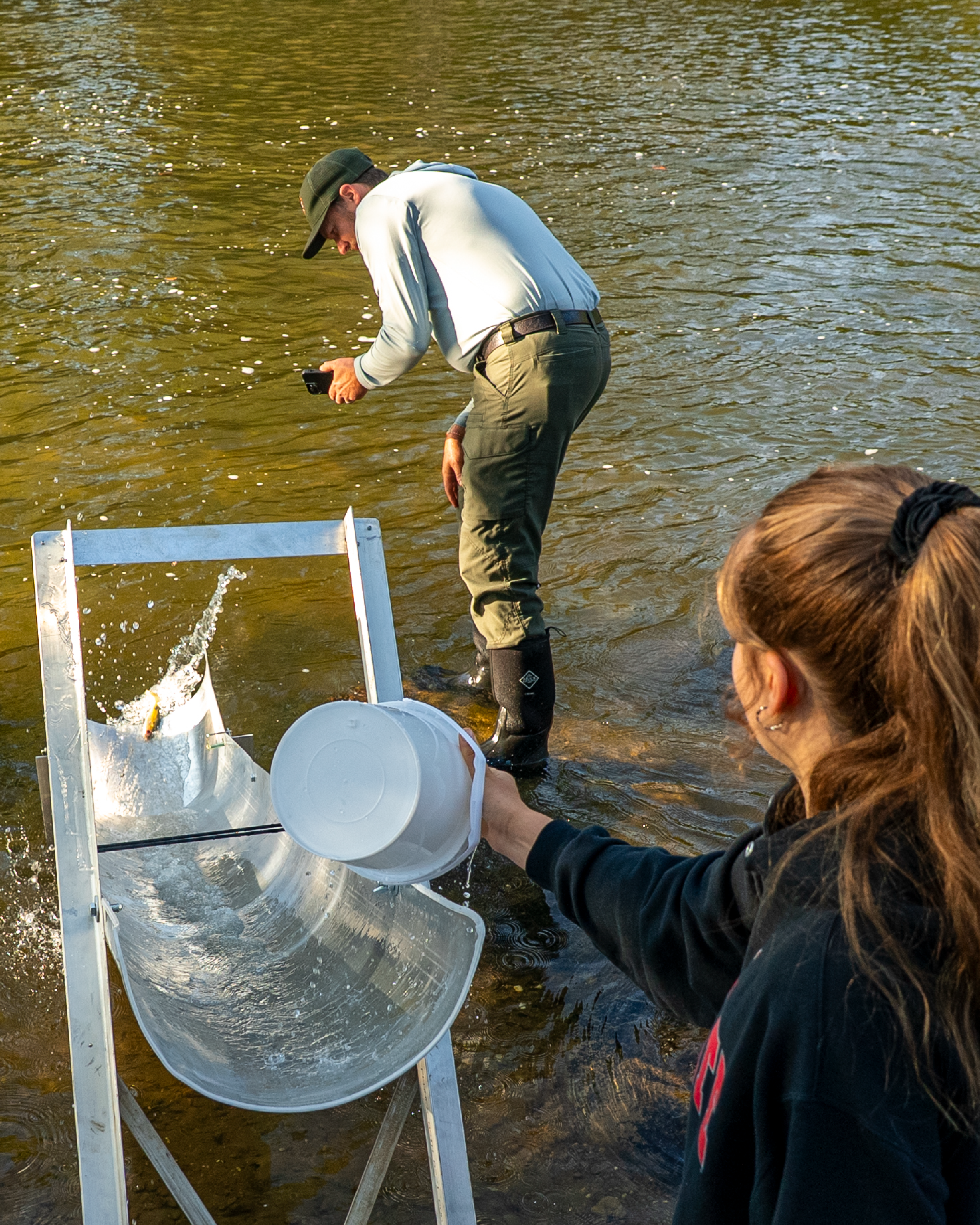 A person gently empties a small bucket with a sturgeon down a metal slide into the Cuyahoga River.