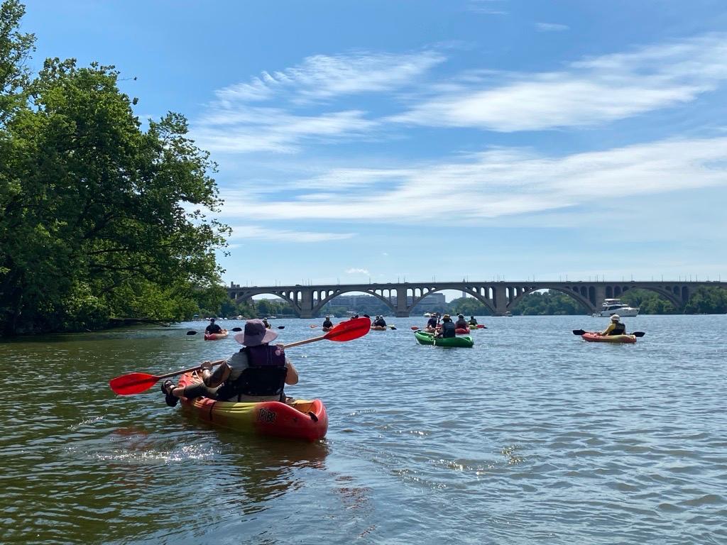 Several people paddle on kayaks on a river with a bridge in the background
