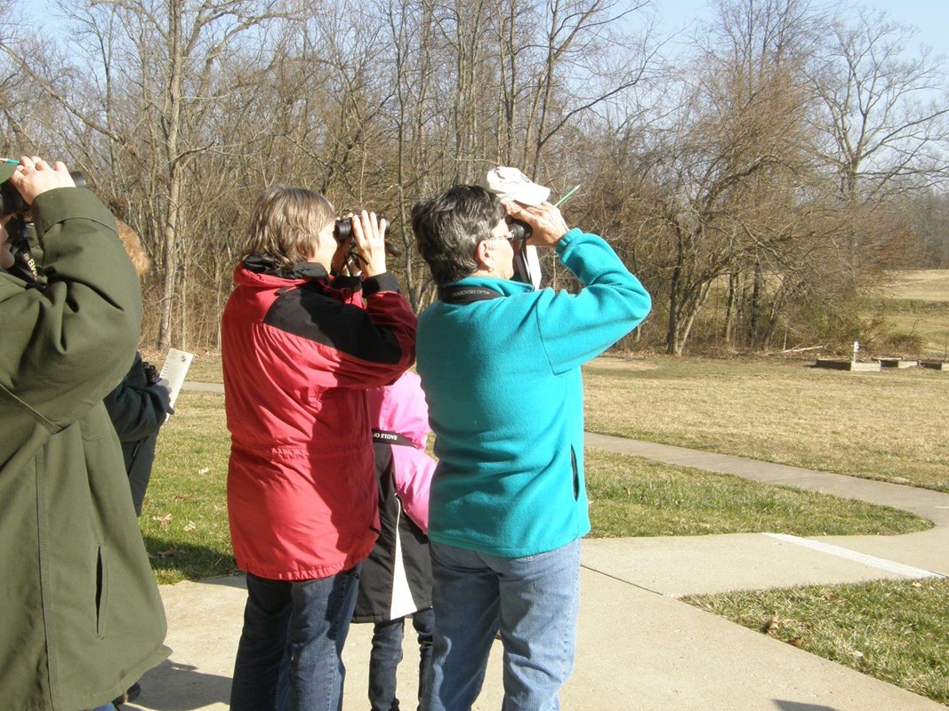 A small group of adults and children look into binoculars, searching for birds