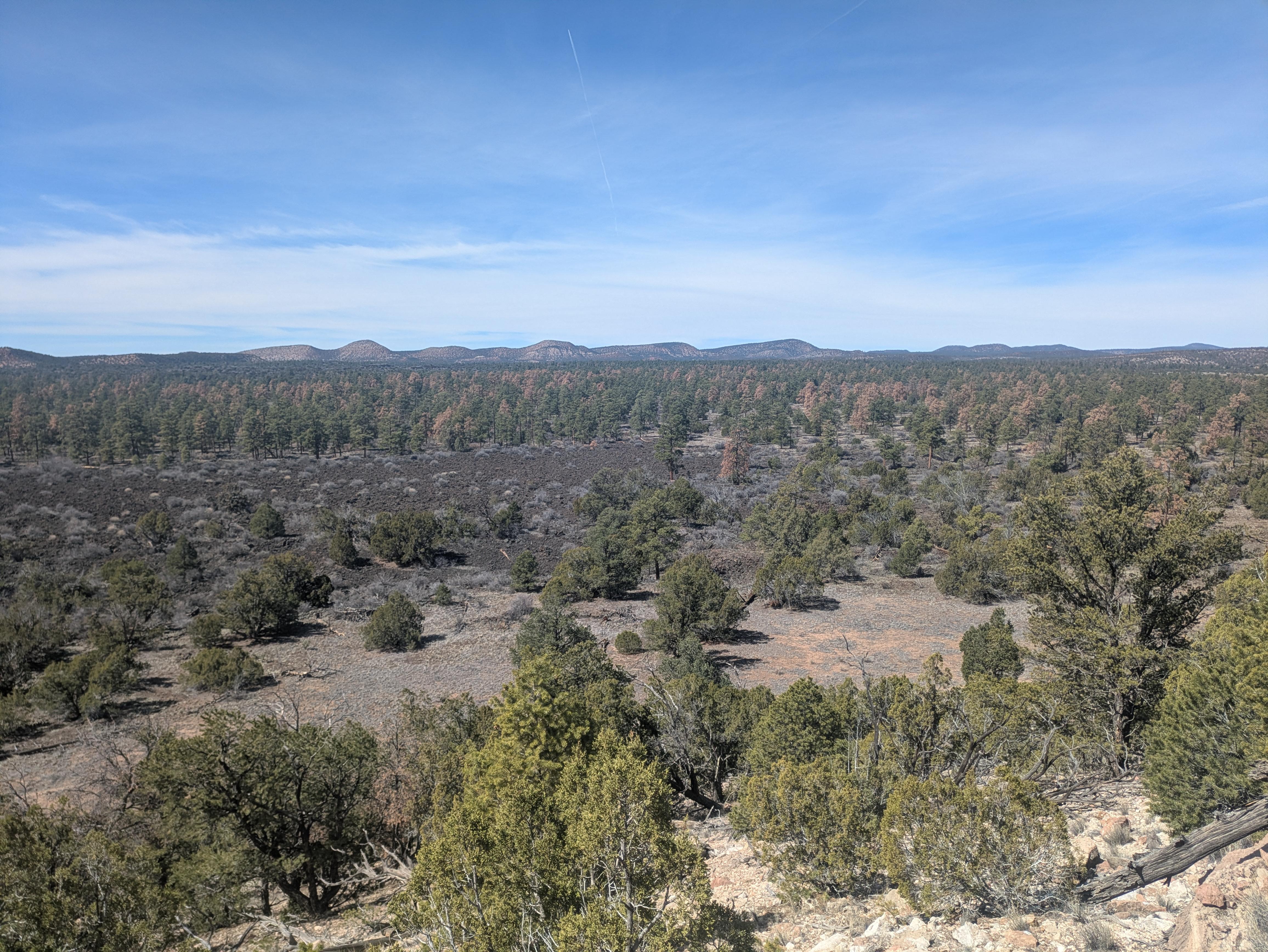 Zuni-Acoma Trail Guided Hike: Hidden Life in Lava