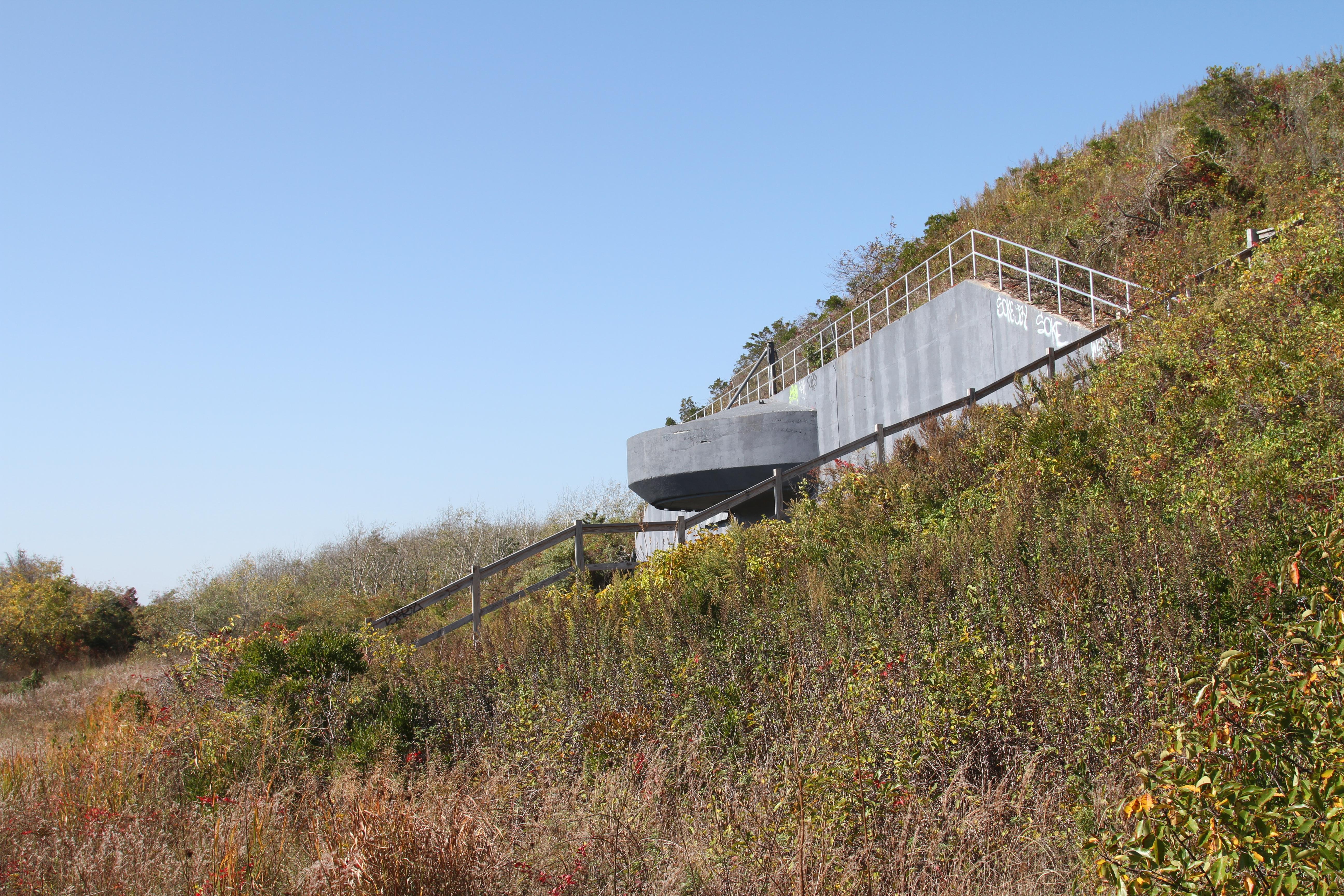 Battery Harris East with surronding foliage