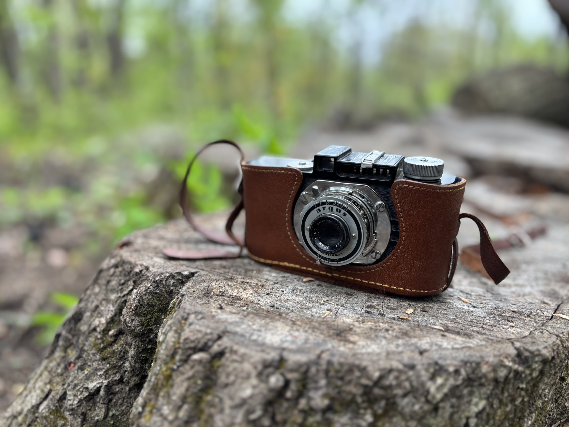 Catoctin Mountain Halloween Photo Walk