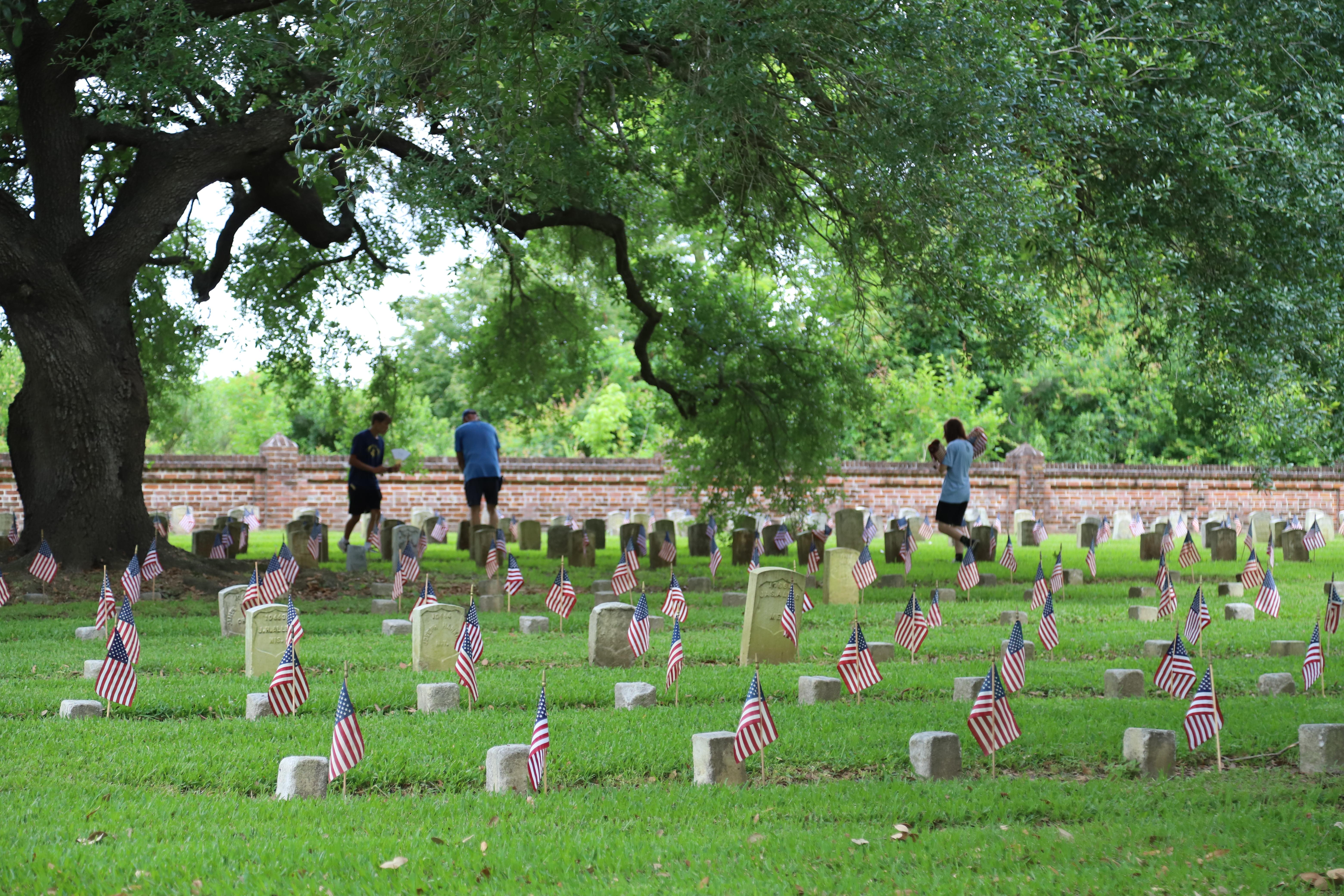 Rows of flags in front of headstones.