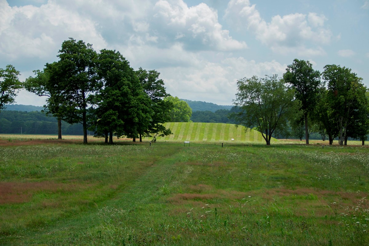 a grass path leads to a large loaf shaped earthwork surrounded by large trees.