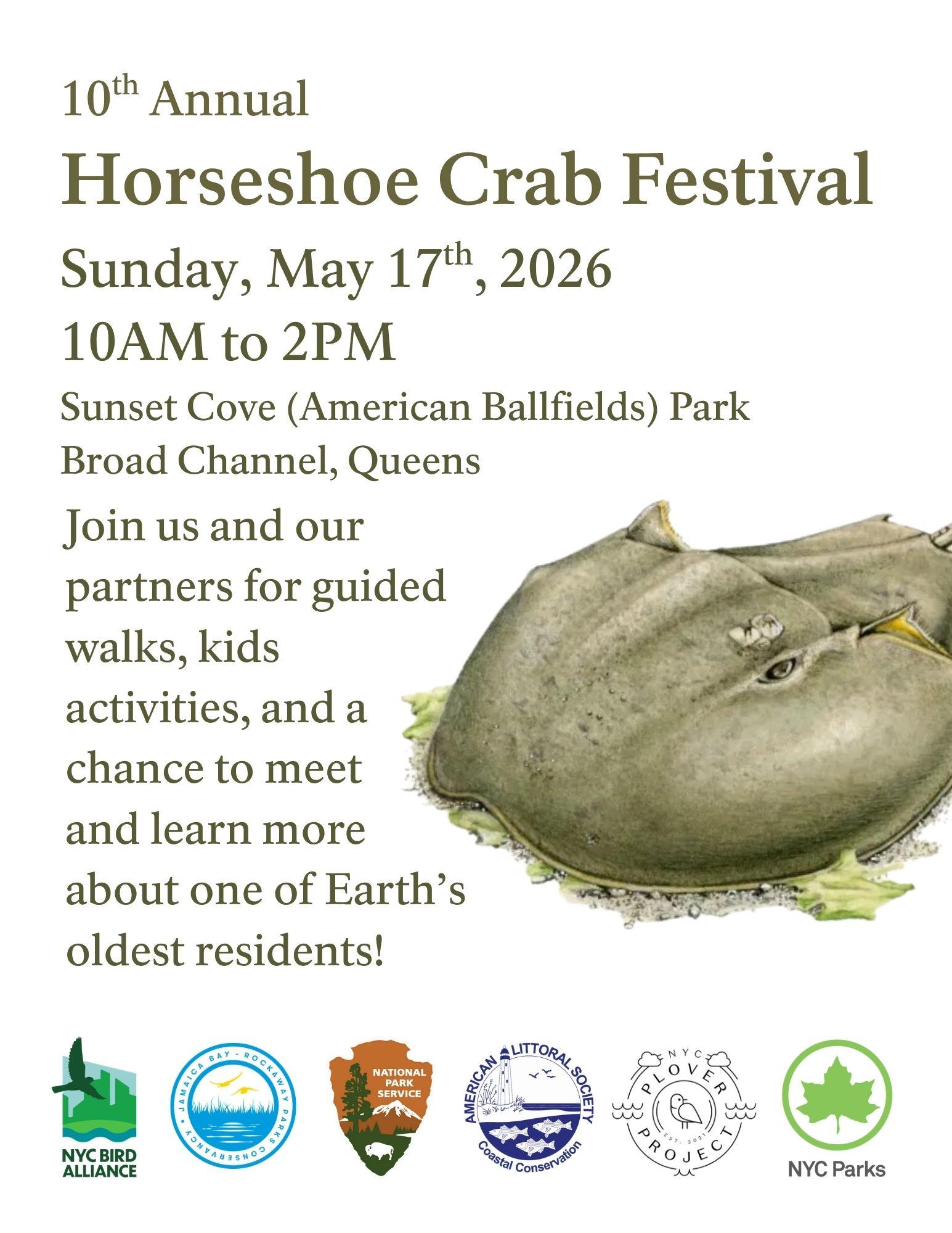 Flyer for 10th Annual Horseshoe Crab Festival