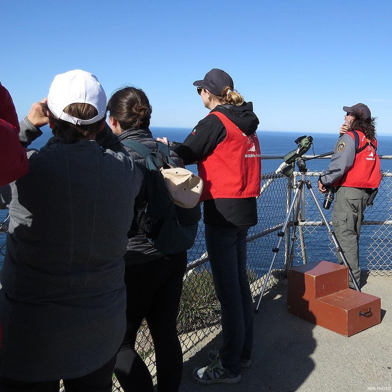 Two docents wearing red vests and two visitors looking for whales from a fenced-in observation deck.