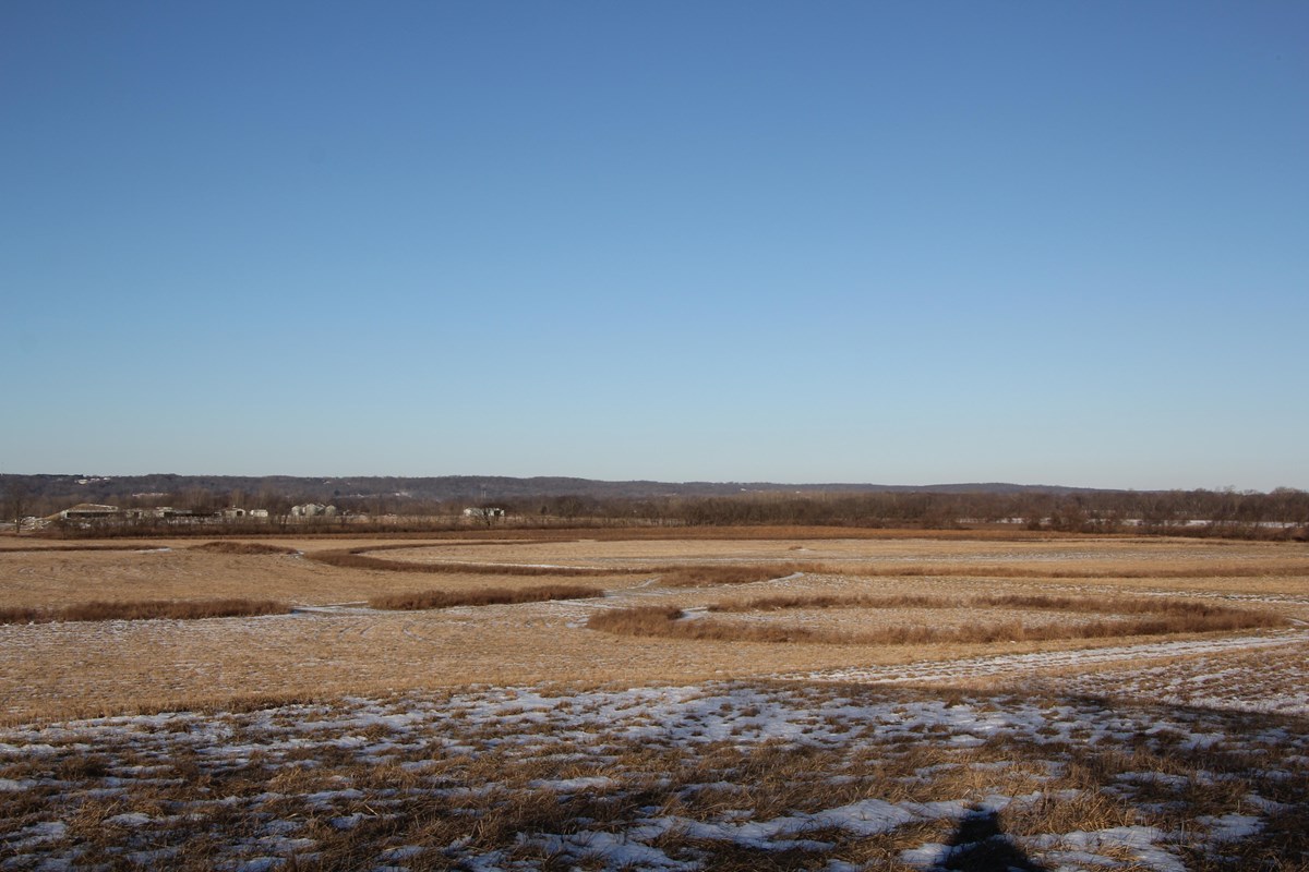 a winter field of brown grass under a clear blue sky.