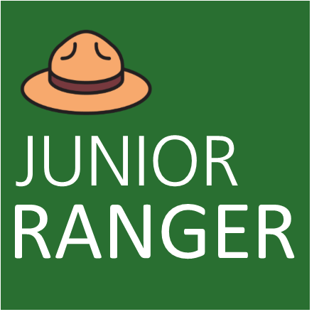 Green background. words: Junior Ranger. Ranger Hat