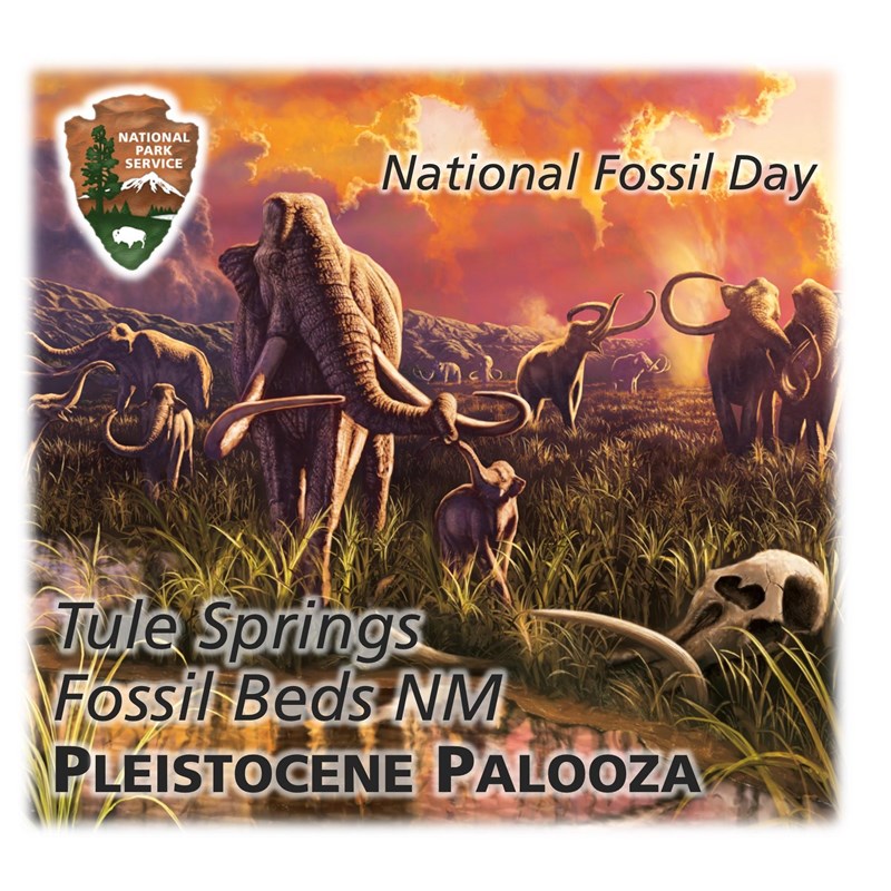 A herd of Columbian mammoths in a wetland at sunset.