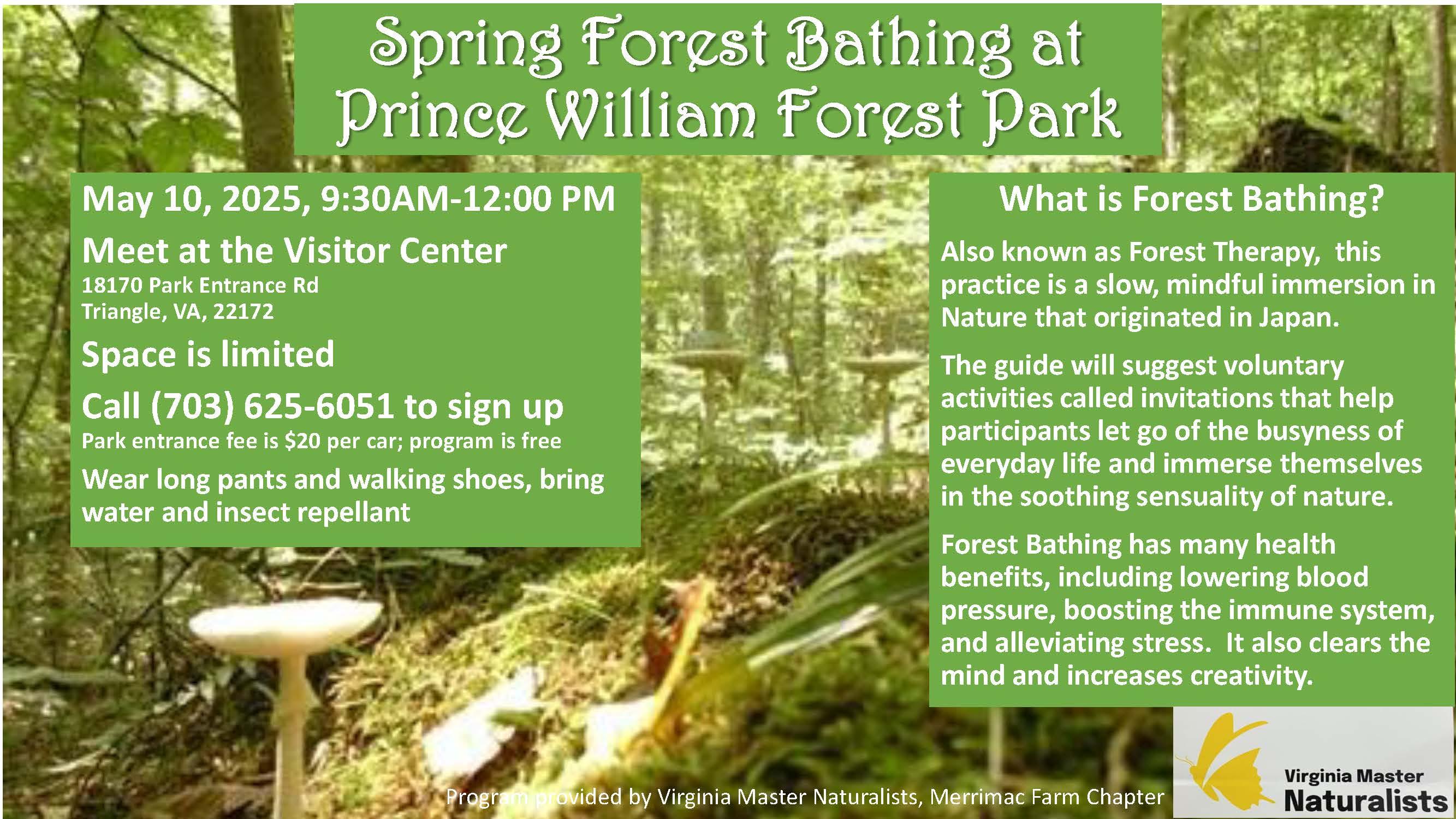 Flyer advertising Forest Bathing with a picture of a mushroom on a mossy log and text information