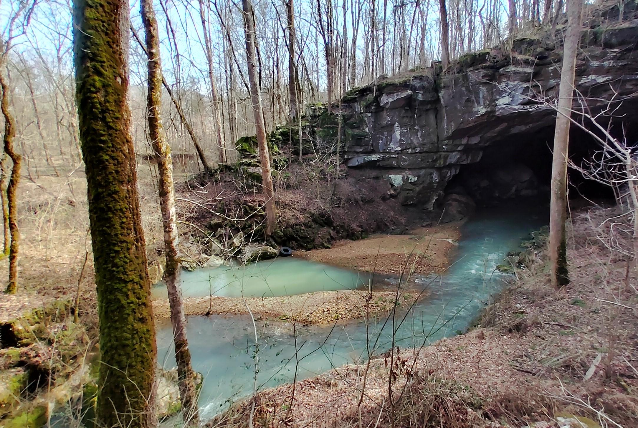 rocky cave entrance and bare trees