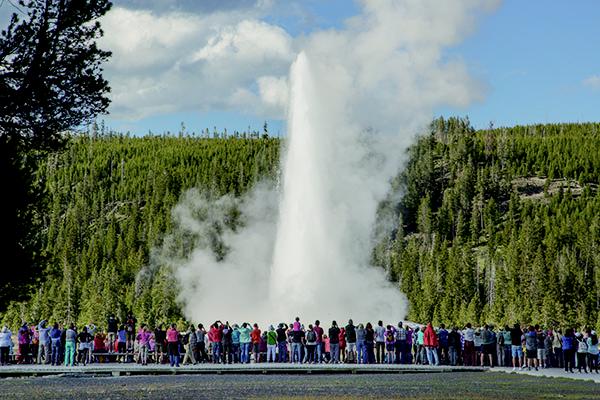 A crowd stands in front of an eruption of Old Faithful Geyser