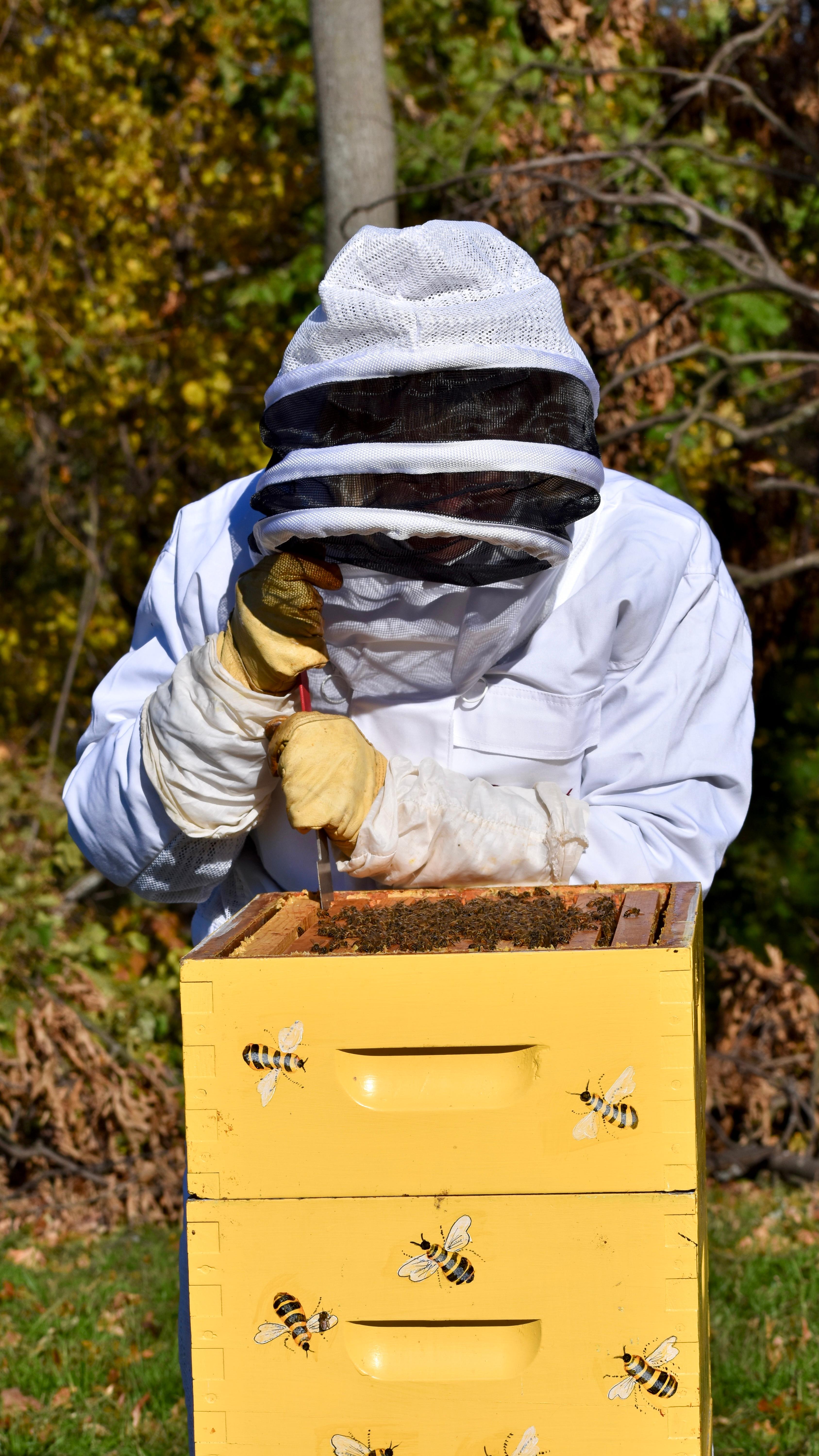beekeeping