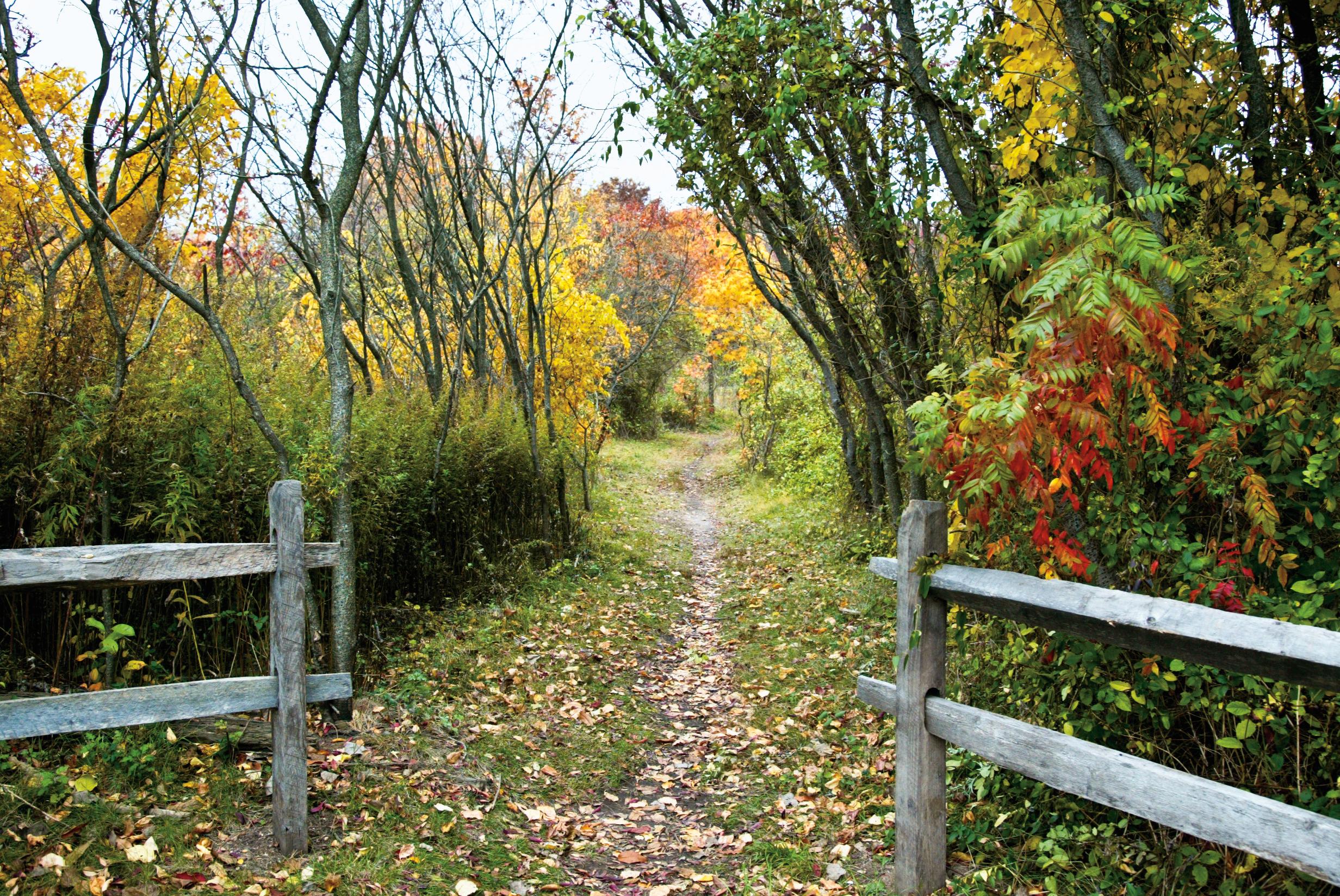 Nature trail with different colored fall foliage and two wooden gates