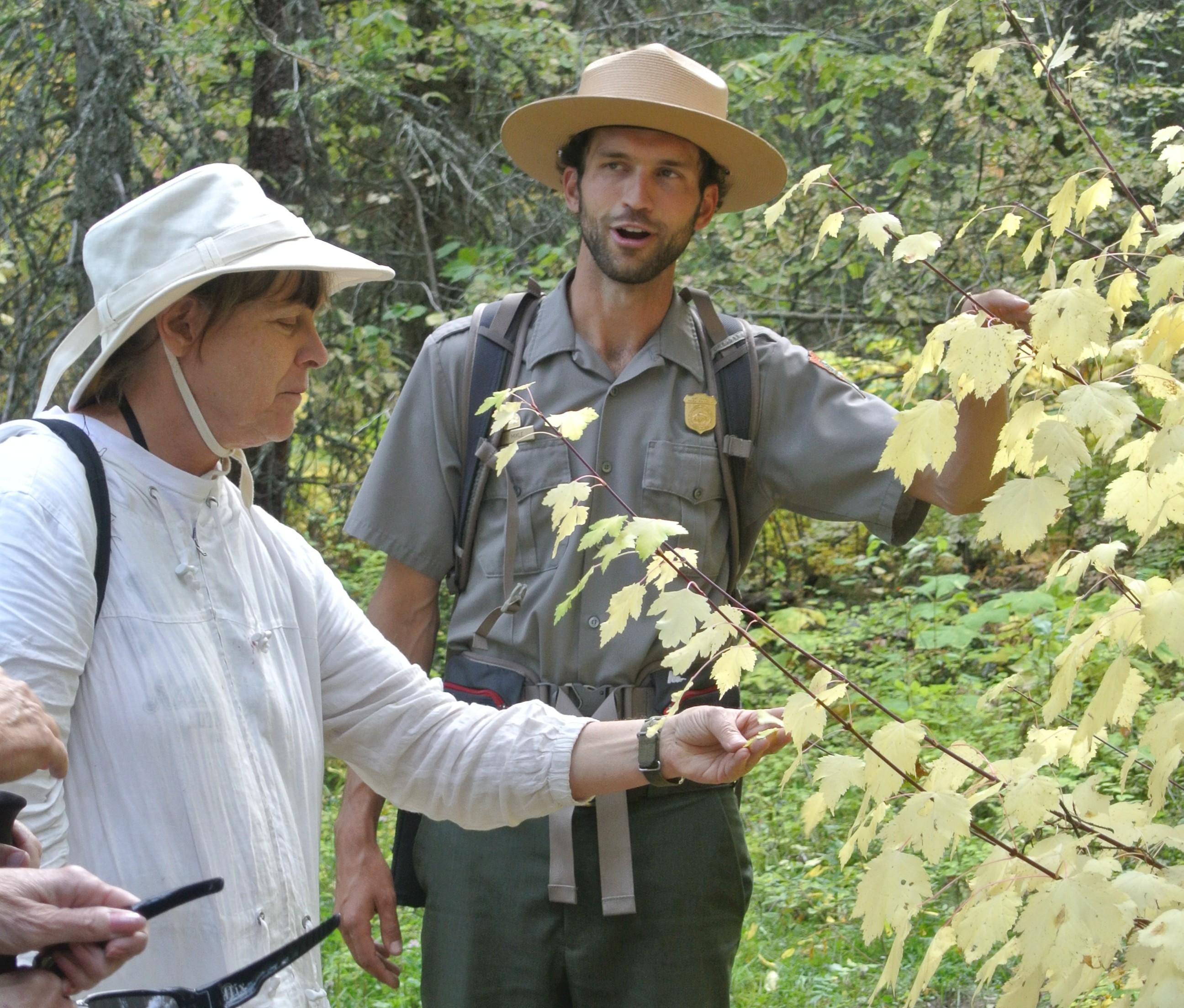 A park ranger and visitor observe leaves within a forest.