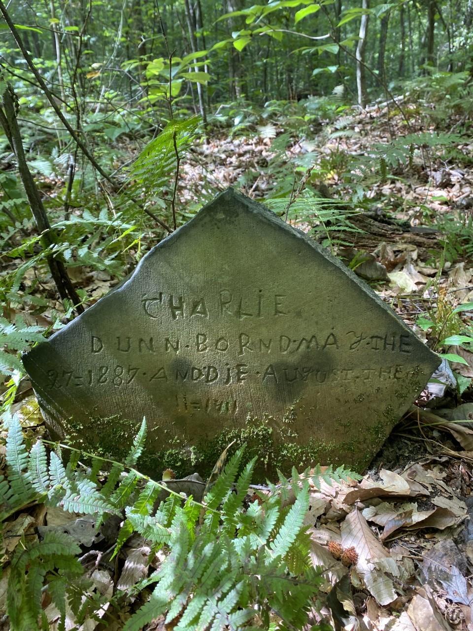 A diamond shaped worn stone grave marker for Charlie covered in moss surrounded by ferns and leaves.