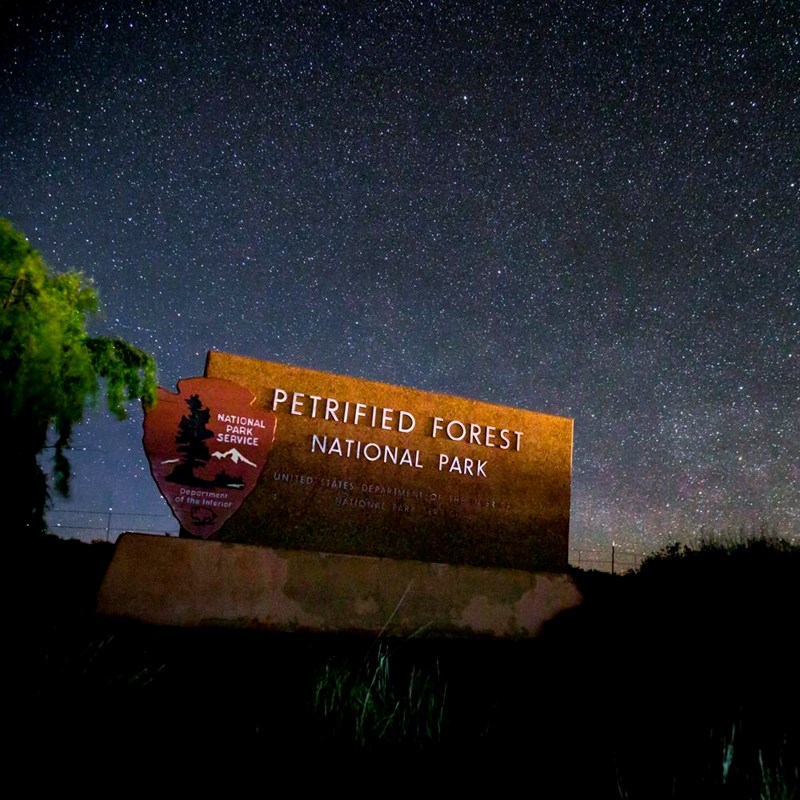 The iconic Petrified Forest entrance sign rests under hundreds of stars dotting a blue night sky.
