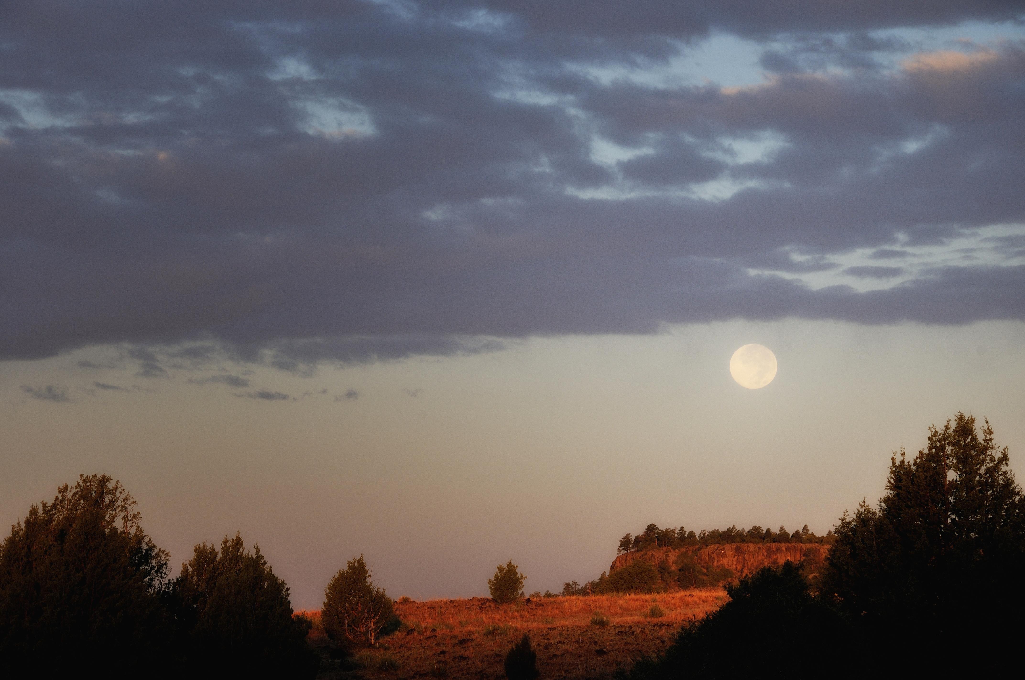 Full moon over trees and mesas