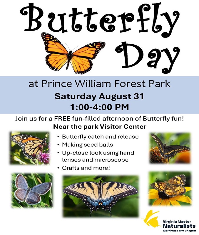 Flyer advertising Butterfly Day with six colorful pictures of orange and yellow butterflies