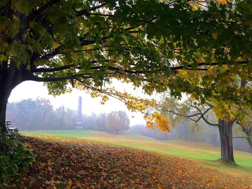 Through a misty field, you see streaks of vibrant green, yellow, & orange as leaves fall from trees.