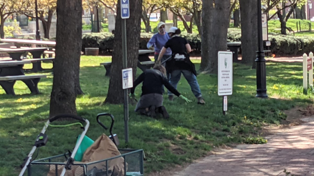 Two volunteers rake leaves in the park.