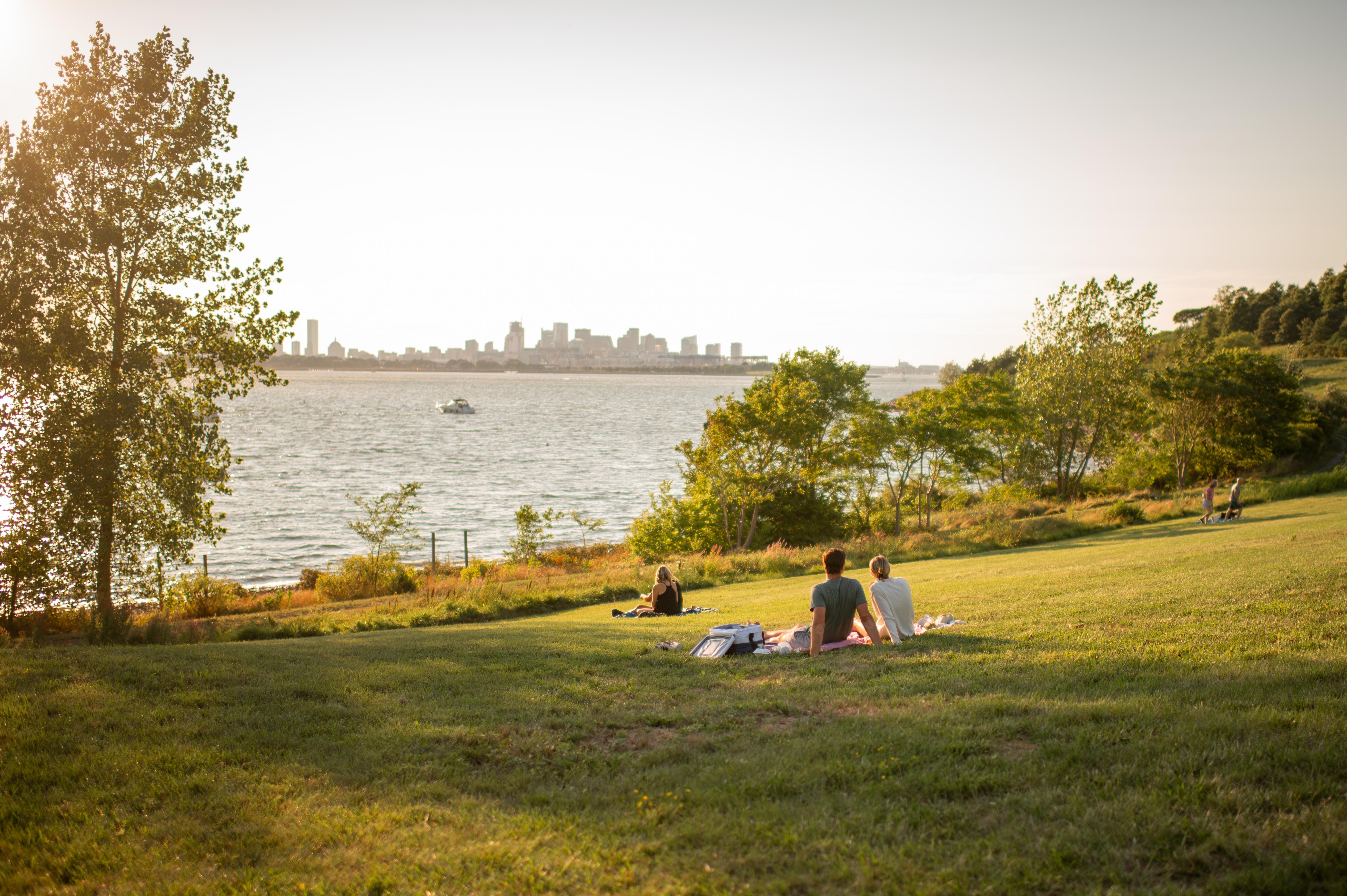 people sitting on a hillside overlooking Boston Harbor and the skyline