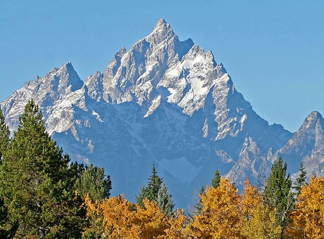 Grand Teton with aspen trees in fall. Grand Teton with aspen trees in fall.
