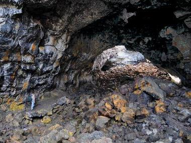 man in cave man in cave