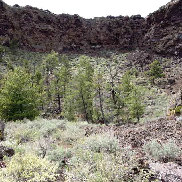 Trees in crater Trees in crater