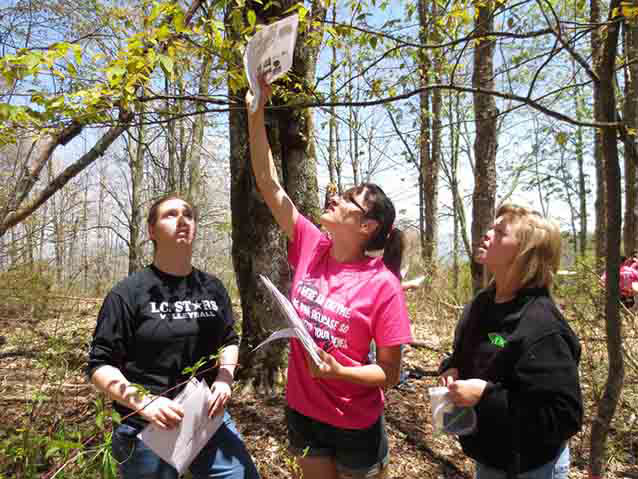 Volunteers collecting phenology data Volunteers collecting phenology data