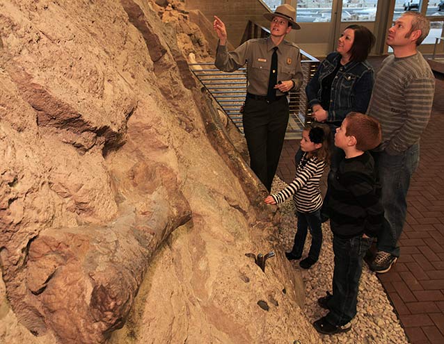 Visitors and ranger looking at dinosaur bones Visitors and ranger looking at dinosaur bones