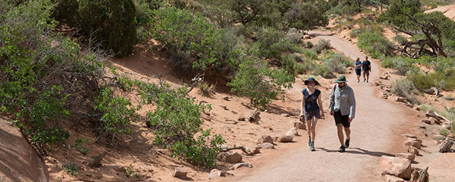 Two people hiking on a trail Two people hiking on a trail