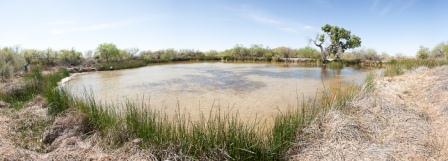 Quitobaquito Spring, an oasis in the middle of the harsh desert Quitobaquito Spring, an oasis in the middle of the harsh desert