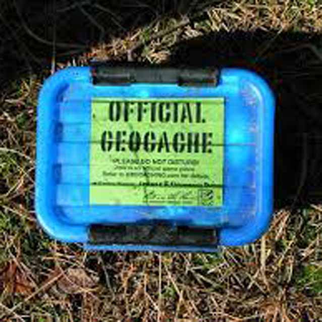 A small blue box in the grass with a sign reading official geocache. A small blue box in the grass with a sign reading official geocache.