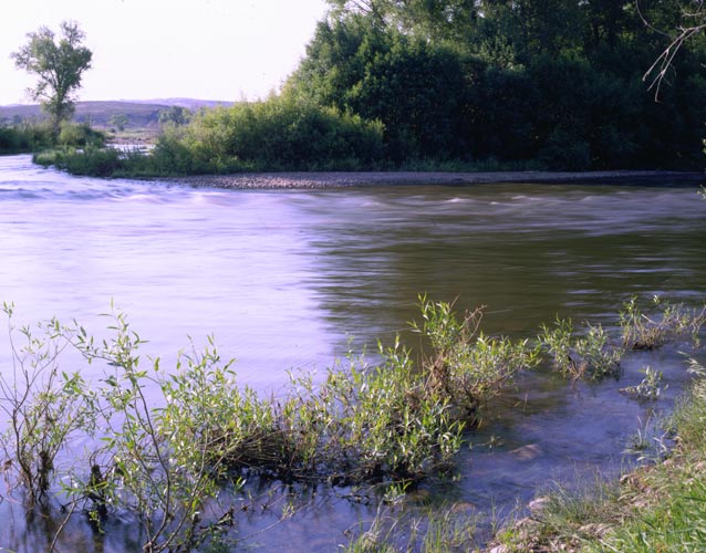 Gunnison River Gunnison River